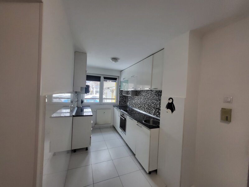 Dristor, Camil Ressu, Mall Park Lake si parc IOR, Scoala 88