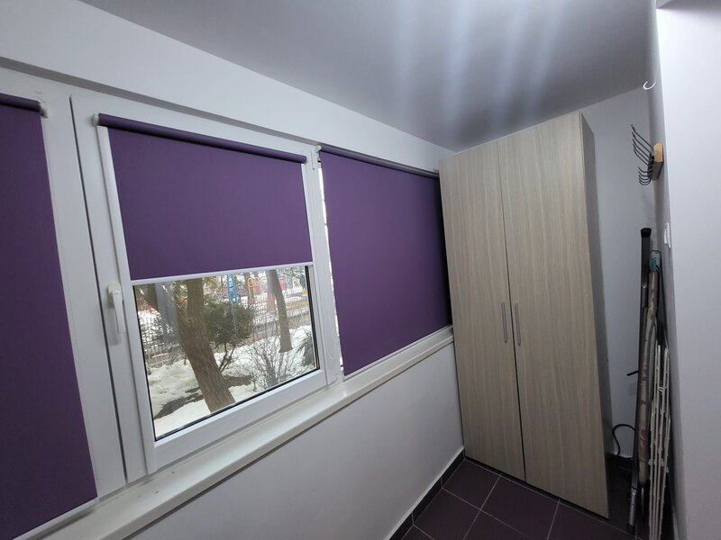 Dristor, Camil Ressu, Mall Park Lake si parc IOR, Scoala 88